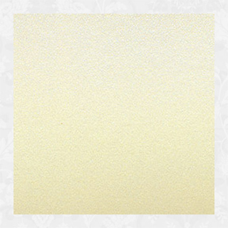 Papier W9